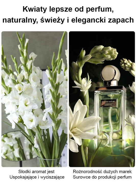 【Bardziej pachnący niż perfumy】Kwiaty tuberozy pachnące na tysiące mil,Kwitnie co roku