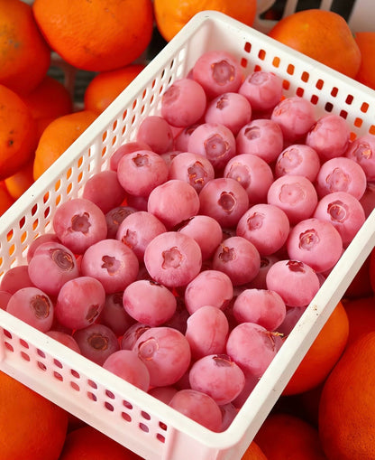 Nasiona borówki Pink Bliss – podwójna słodycz
