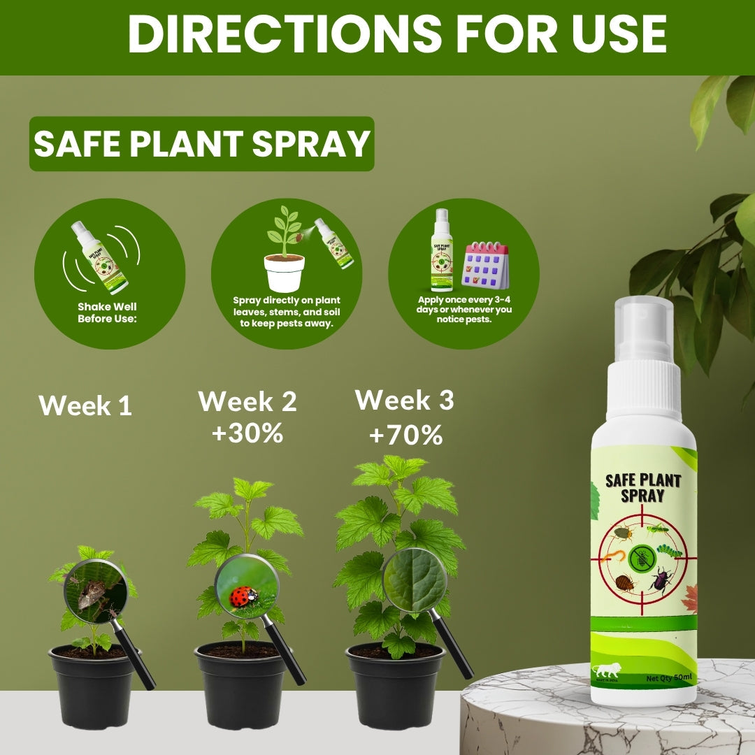 Naturalny zestaw do pielęgnacji roślin – wzmocnienie roślin dzięki bezpiecznym sprayom