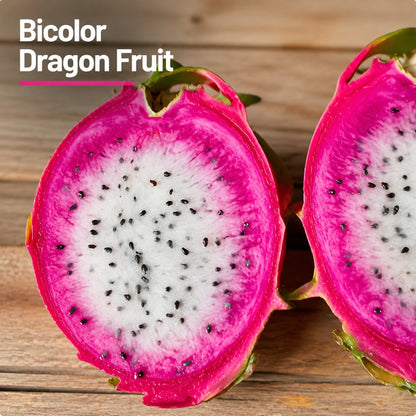 Nasiona smoczego owocu – uprawiaj egzotyczną, słodką pitaję w domu 🌵
