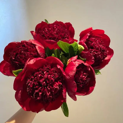 🔥OSTATNI DZIEŃ 45% ZNIŻKI🌺KRÓLOWA KWIATÓW — PODWÓJNE PIANI