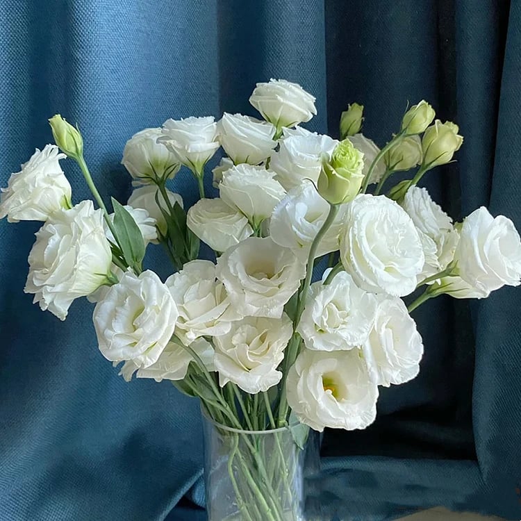 🔥Ostatni dzień wyprzedaży💝Eustoma Thornless Rose💐Lisianthus Seeds