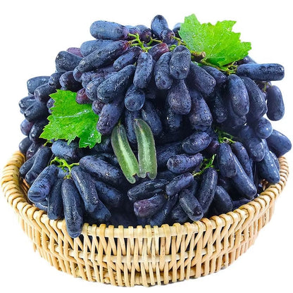 🔥 OSTATNI DZIEŃ PROMOCJI - 30% ZNIŻKI 💜 Winogrona Sweet Sapphire (rzadkie winogrona palczaste) 🍇