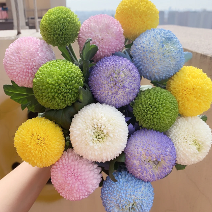 🏵️ Kolorowe nasiona chryzantemy – niczym żywe piłeczki pingpongowe w Twoim ogrodzie!