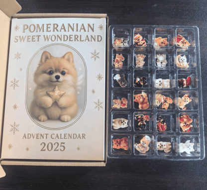Pomeranian Sweet Wonderland Adventskalender 2025