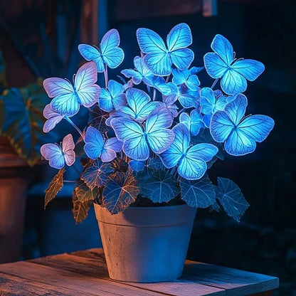 💥 Nowe begonie 🦋 Nasiona begonii motylkowej 🌱 Bonsai, jakiego jeszcze nie widziałeś