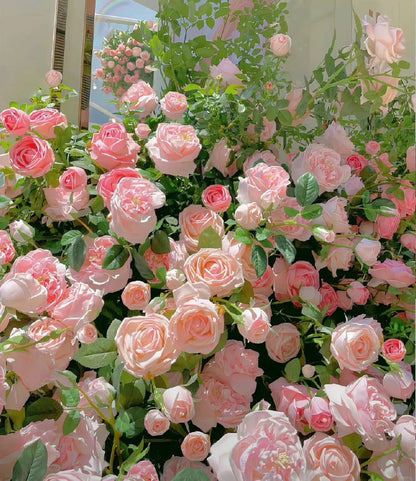🌈 Róże pnące najwyższej jakości 🌹 Szybko rosnące, łatwe w pielęgnacji i bardzo pachnące ✨ Idealne do każdego ogrodu