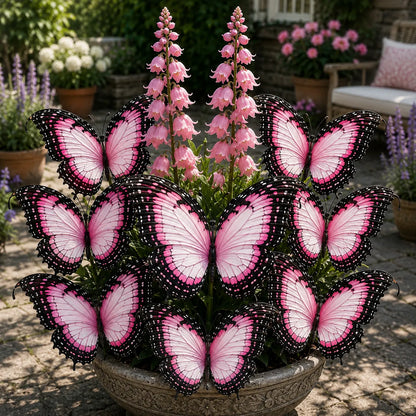 🦋 Bulwy funkii Butterfly Garden - 🌸Funkia, która wygląda jak ogród pełen motyli