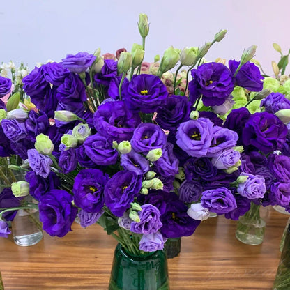 🔥Ostatni dzień wyprzedaży💝Eustoma Thornless Rose💐Lisianthus Seeds