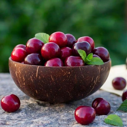 🍒 (New Harvest) Nasiona wiśni słodkiej 🌿Wstępnie przygotowane do szybkiego kiełkowania (99% kiełkowania)