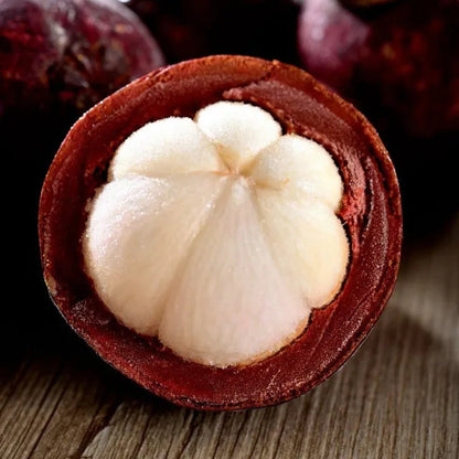 Mangostan