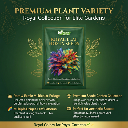 Nasiona hosty Royal Leaf