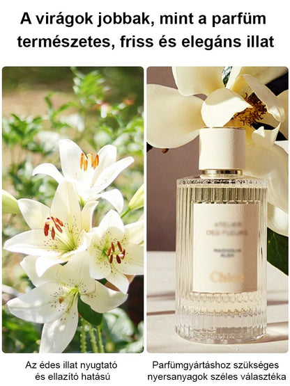 【Bardziej pachnący niż perfumy】Cebulki lilii Four Seasons pachnące na tysiące mil，Kwitnie co roku