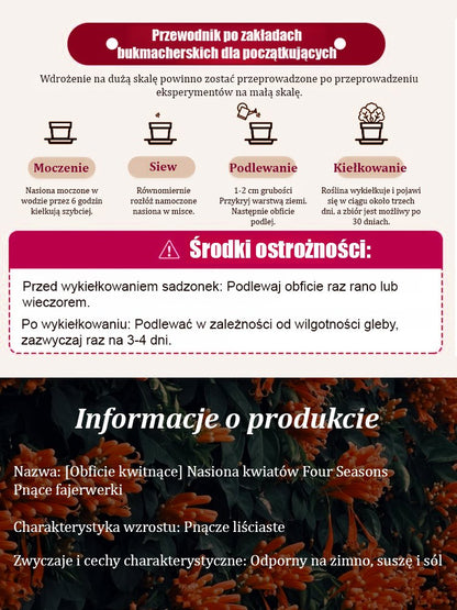 【Kwitnienie pełne】Nasiona kwiatów trąbkowych na każdą porę roku