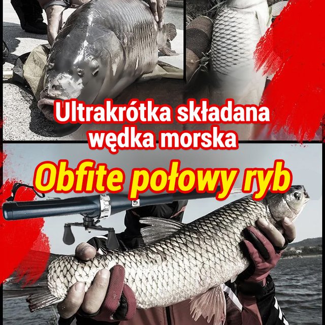 Składana wędka