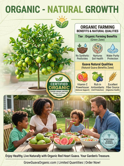 [Bomba witaminowa C] Sadzonki organicznej czerwonej gujawy