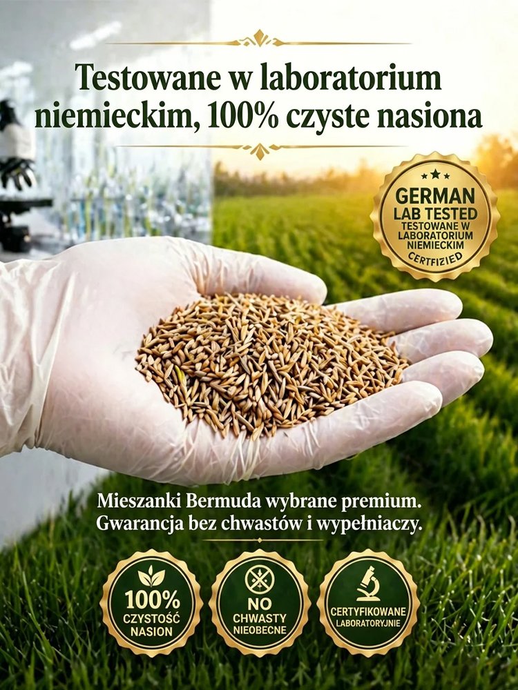 JS-[99% kiełkowania w 7 dni] Nasiona traw wieloodmianowych