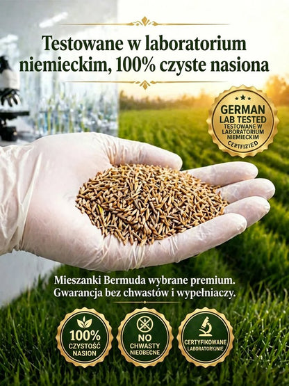 JS-[99% kiełkowania w 7 dni] Nasiona traw wieloodmianowych
