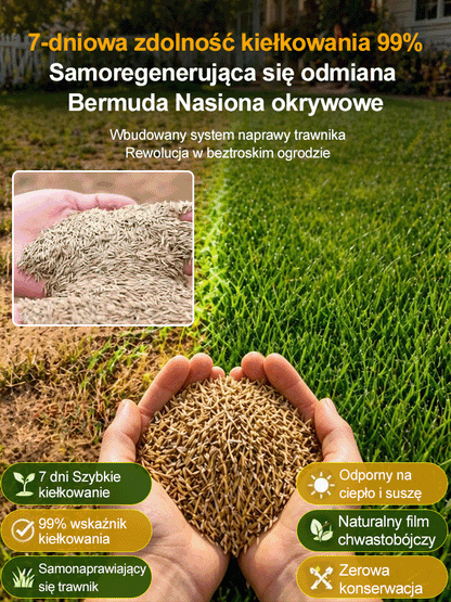 JS-[99% kiełkowania w 7 dni] Nasiona traw wieloodmianowych
