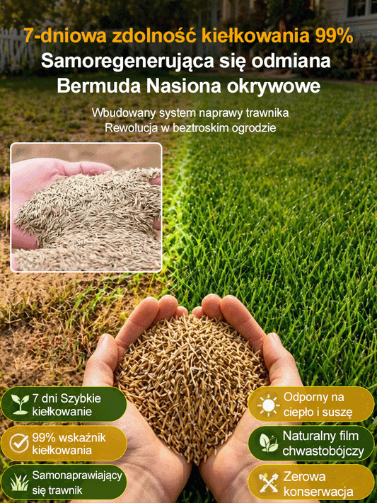 JS-[99% kiełkowania w 7 dni] Nasiona traw wieloodmianowych