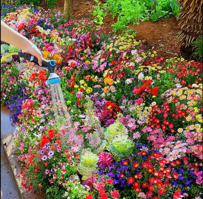 🔥Ostatni dzień wyprzedaży💐Mieszane nasiona kwiatów bylinowych - ponad 60 rodzajów mieszanych