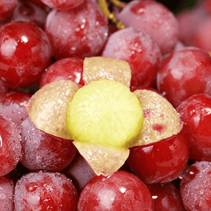 Nowa, limitowana odmiana – nasiona winogron Queen Nina dla słodkich, soczystych zbiorów ogrodowych 🍇