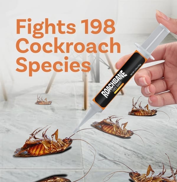🔥Gorąca wyprzedaż - 49% TANIEJ🔥Żelowa przynęta na RoachBane (nowa ulepszona formuła)
