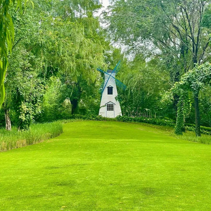 🌱 Nasiona trawy karłowatej Four Seasons Evergreen | Stwórz swój idealny trawnik, zaczynając tutaj!