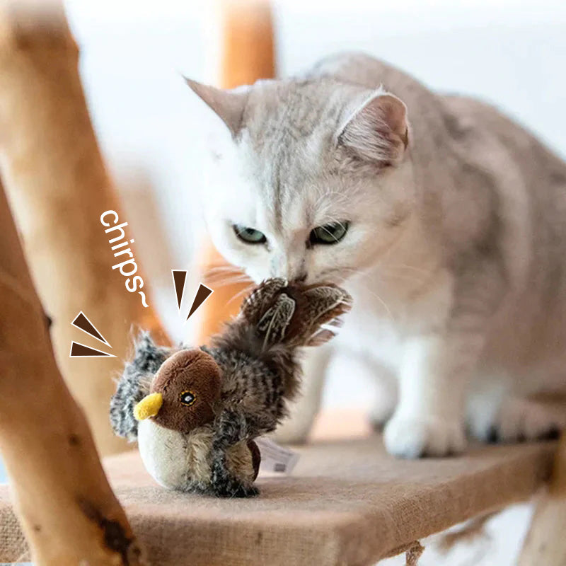🐱 ZAKTUALIZOWANA ZABAWKA DLA KOTA POLICZKUJĄCEGO🐦