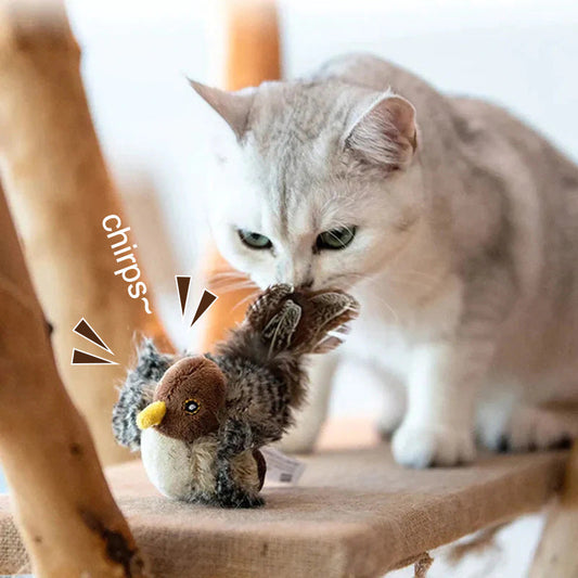 🐱 ZAKTUALIZOWANA ZABAWKA DLA KOTA POLICZKUJĄCEGO🐦