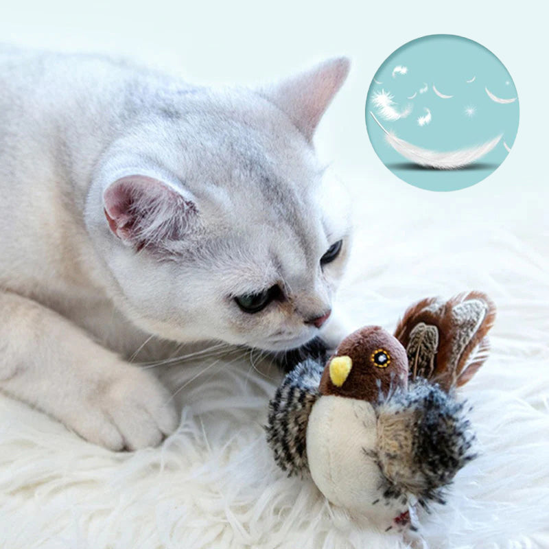 🐱 ZAKTUALIZOWANA ZABAWKA DLA KOTA POLICZKUJĄCEGO🐦