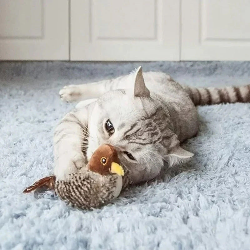 🐱 ZAKTUALIZOWANA ZABAWKA DLA KOTA POLICZKUJĄCEGO🐦