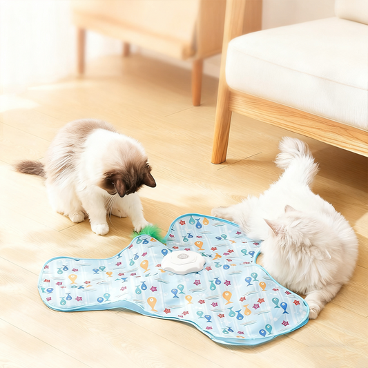 🐈 dla kotów 2 w 1 chowanego